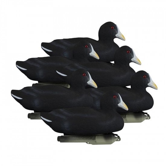 Formes de foulque HD Higdon