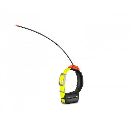 Collier GPS Garmin T5 F
