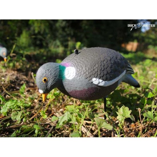 Formes Vision Pigeon HD UV x10