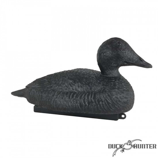 Blette eider Duck Hunter