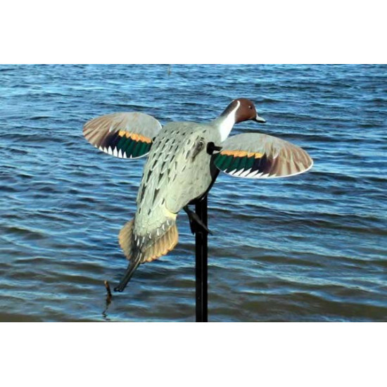 Pilet à ailes tournantes Mojo Elite Series