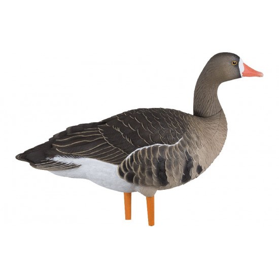 Formes d'oie rieuse sur pattes AvianX