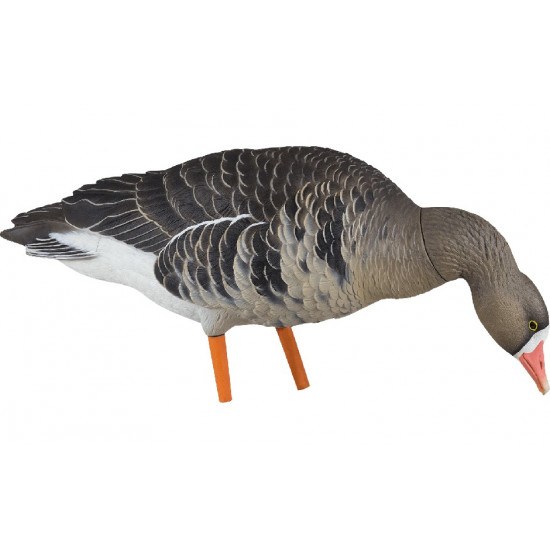 Formes d'oie rieuse sur pattes AvianX
