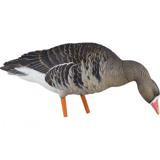 Formes d'oie rieuse sur pattes AvianX