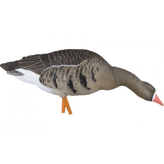 Formes d'oie rieuse sur pattes AvianX