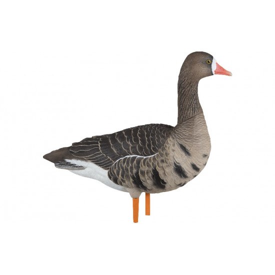 Formes d'oie rieuse sur pattes AvianX