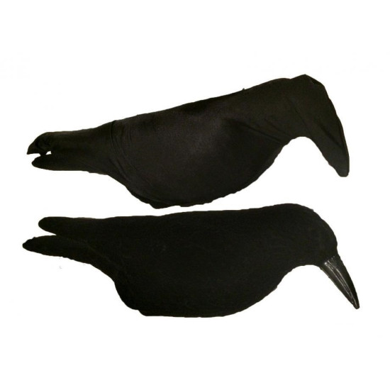 Chaussette pour Corvidés