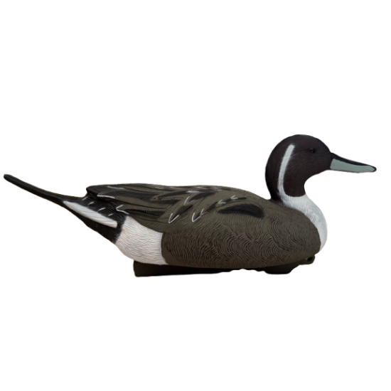 Lot de 12 Pilets HD Duck...