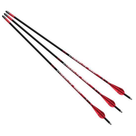 Barnett HyperFlite 20''...