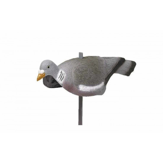 Appelant plastique pigeon coque