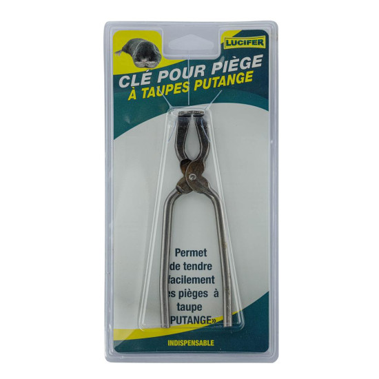 Clé pour Piège à Taupes...