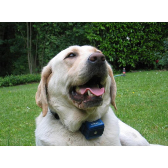 Num Axes Canicalm Anti-Bark...