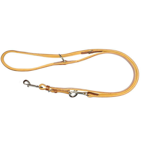 Laisse de Dressage Cuir...