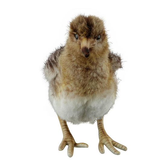Woodcock Plush - Realistic...