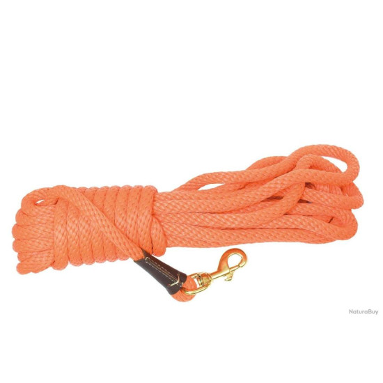 Mendota Pet Dog Training...