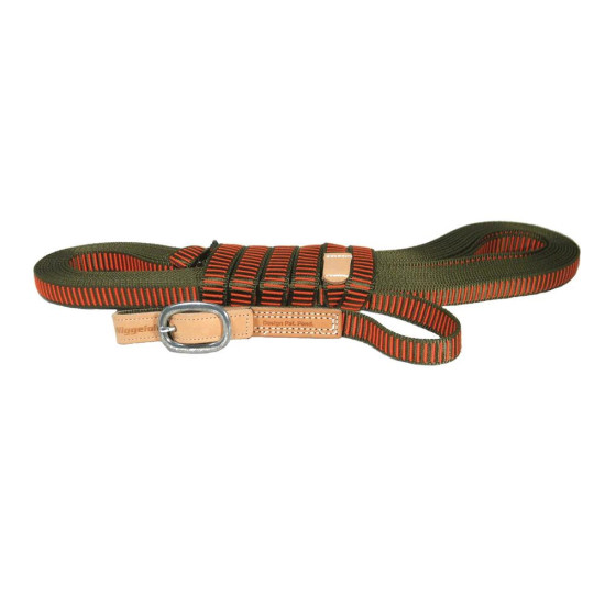 Longe pour Chien de Sang...