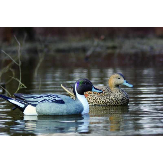 Pack de 6 canards pilet