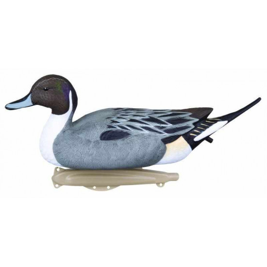 Pack de 6 canards pilet HD