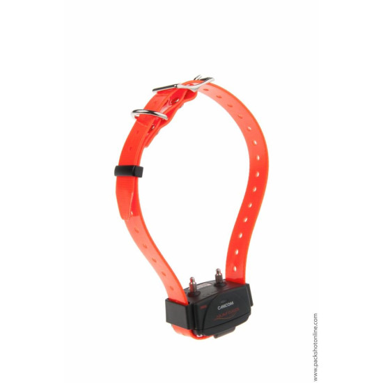 Collier d Éducation Canicom...
