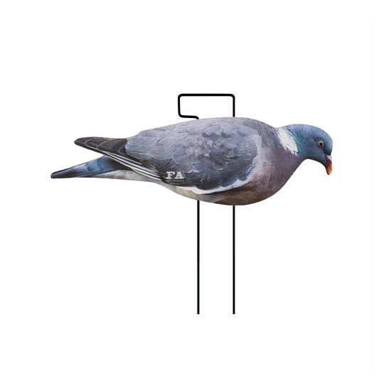 Silhouettes pigeon ramier...