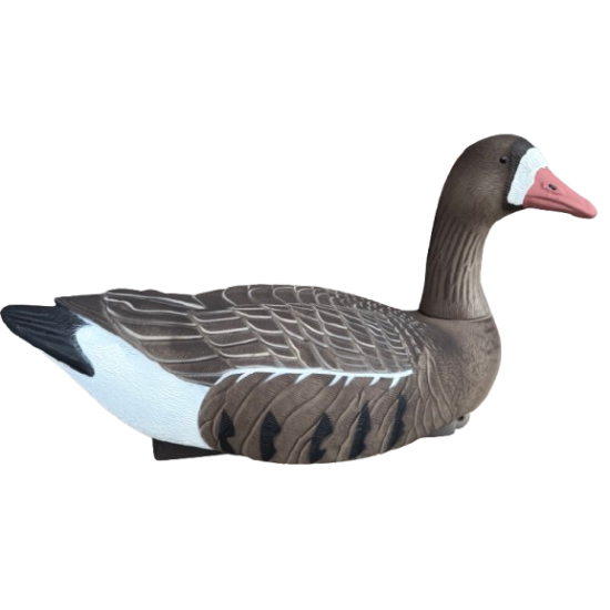 Formes d’Oie Rieuse Active...