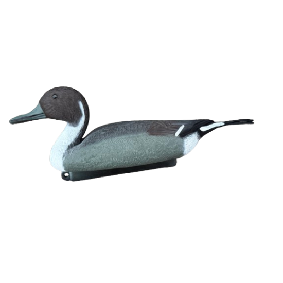 Formes de canard pilet –...