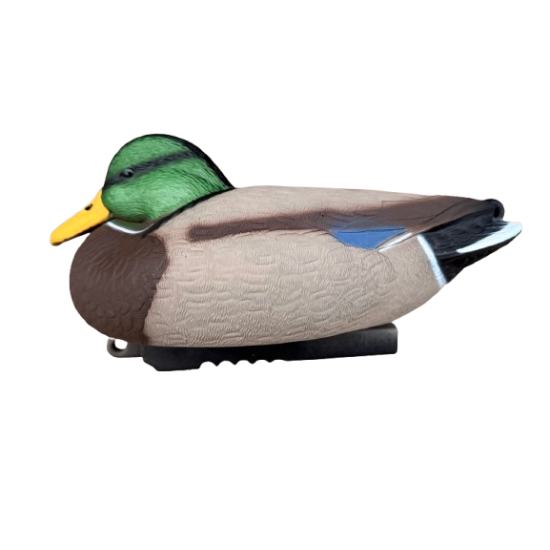 Formes de Colvert HD...