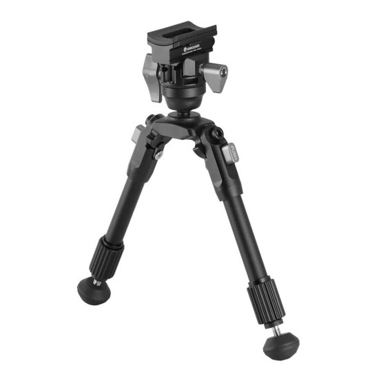 Vanguard EQ-PRECISION 1QSA...