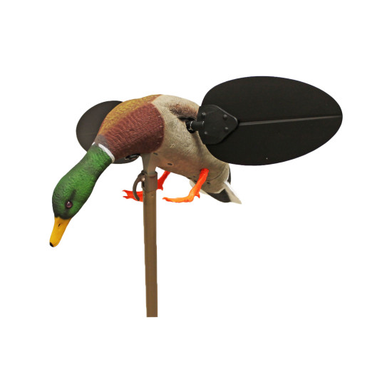 MOJO Mallard Drake UN3481 -...