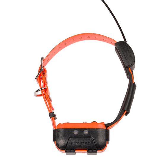 Num Axes Canicom GPS 2...