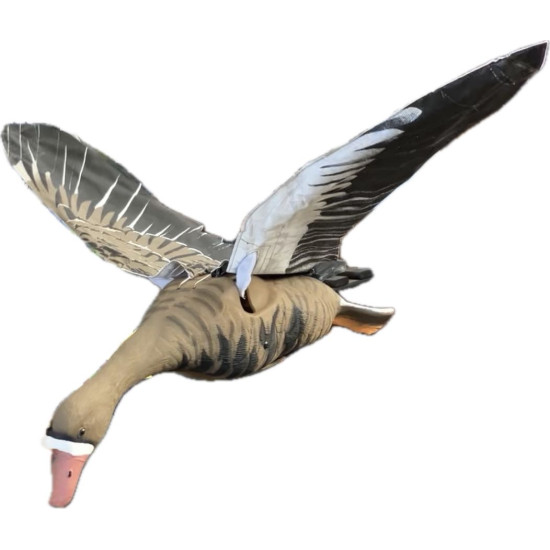Duck Hunter Specklebelly...