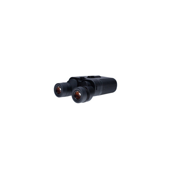 Waldberg Pro 15x42 ED...